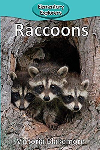 Raccoons