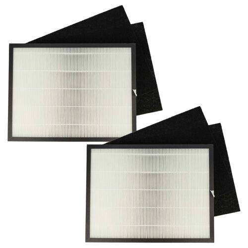 vhbw 6x Filtre remplacement pour Rowenta XD6040F0, H10 pour purificateur d'air - filtre à charbon actif, filtre HEPA