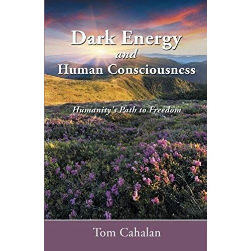 Dark Energy And Human Consciousness