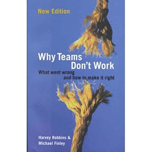 Why Teams Don't Work: What Went Wrong And How To Make It Right (Business Essentials)