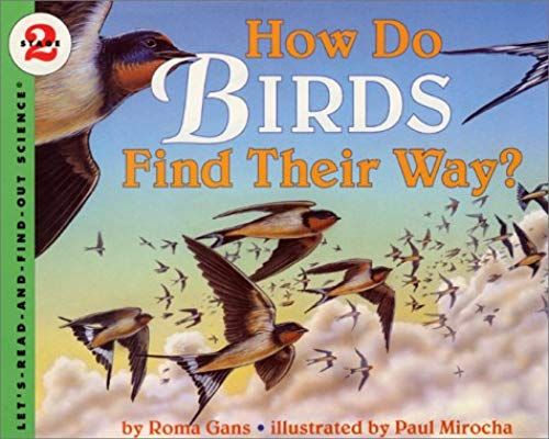 How Do Birds Find Their Way? (Let's Read-And-Find-Out Science)
