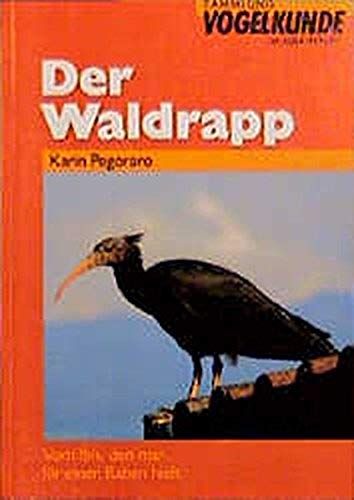 Der Waldrapp