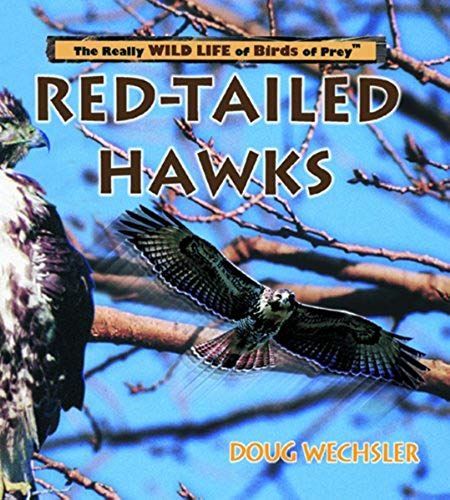 Red-Tailed Hawks (Really Wild Life Of Birds Of Prey)