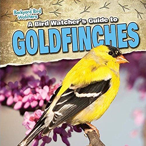 A Bird Watcher's Guide To Goldfinches