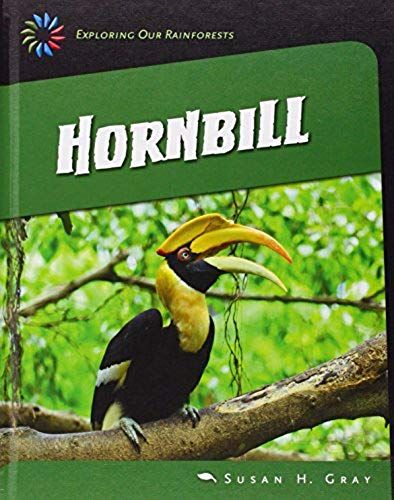 Great Hornbill