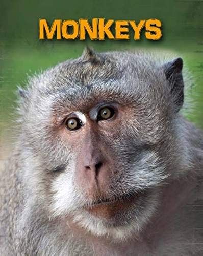 Monkeys (Living In The Wild: Primates)