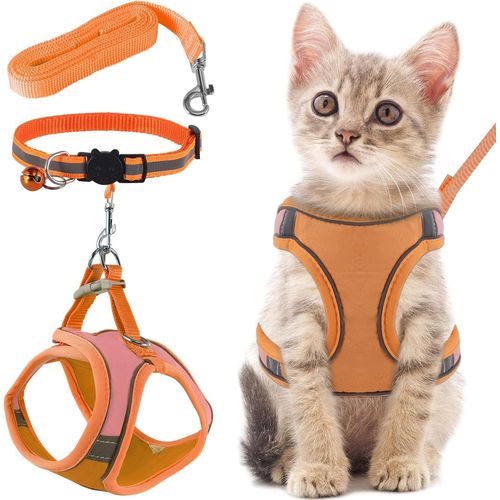 Harnais Pour Chat Couleur Orange,Harnais Chaton Réglable Colliers,Harnais Et Laisses Pour Chats Réflexion,Accessoire Chat Sécurité Et Respirabilité (Orange¿L)