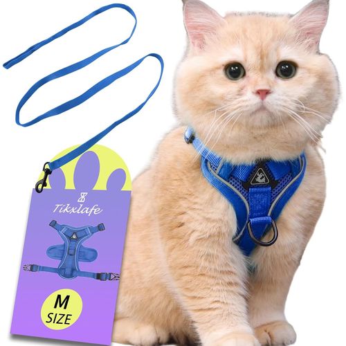 Subzonal-Harnais Réglable Anti-Éclatement Pour Chat Avec Laisse,Plomb De Chats De 150 Cm Avec Harnais Le Plomb De Chats Réglables En Polyester, Fuite Pour Les Chatons (M-Bleu)
