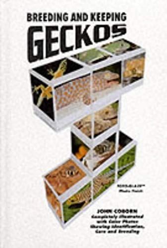 Breeding And Keeping Geckos