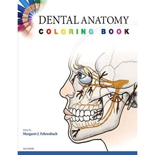 Dental Anatomy Coloring Book (08) By Saunders [Paperback (2007)]