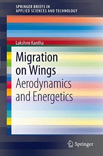 Migration On Wings