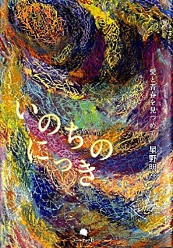 Staring At The Youth And Love - Diary Embroidery Life (2011) Isbn: 486435023x [Japanese Import]