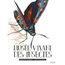 Musée Vivant Des Insectes