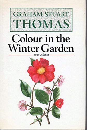 Colour In The Winter Garden