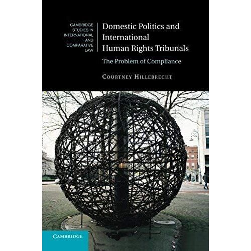 Domestic Politics And International Human Rights Tribunals