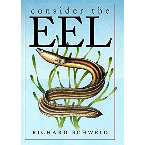 Consider The Eel