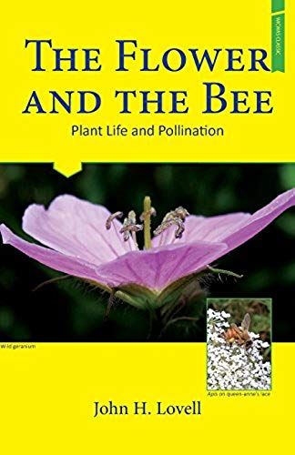 The Flower And The Bee