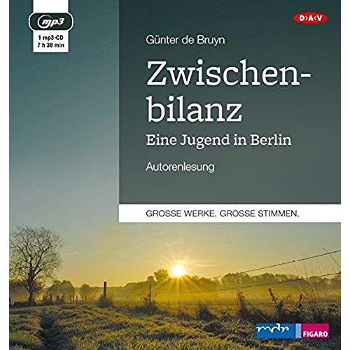Zwischenbilanz. Eine Jugend In Berlin