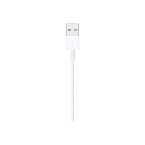 Apple - Câble Lightning - Lightning mâle pour USB mâle - 1 m