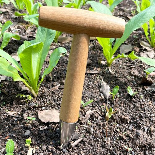 Outils De Jardinage En Bois Pour La Maison, Outils De Plantation De Graines Et D'ampoules, Extracteur De Semis Manuel, Outil De Planteur Pour Les Cadres