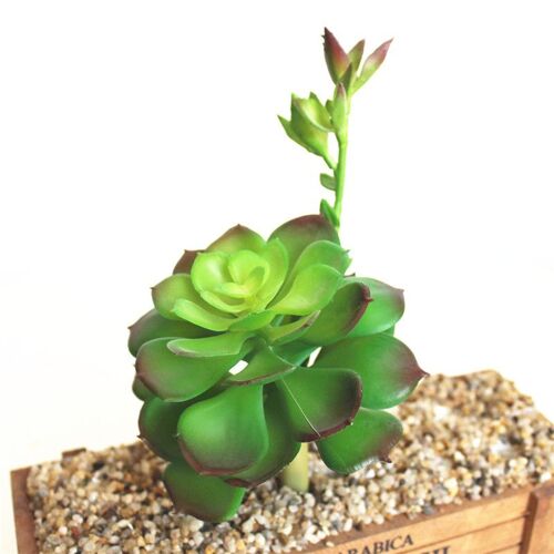Plantes succulentes artificielles faux Lotus Lithops fleur PVC haute qualité plantes succulentes noël fête de mariage décoration florale à la maison