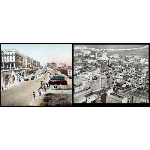 Lot 10 Cpa Cartes Et Photos Alger, Oran, Aïn-Taya, Charmeur De Serpents Ouled Riyah, Volubilis, Zorah Néri…