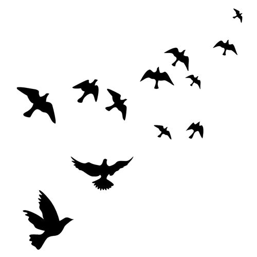 Autocollants pour alerte d'oiseau, Anti-Collision, empêche les personnes et les oiseaux de frapper sur les portes et les fenêtres, décor de silhouette auto-adhésive