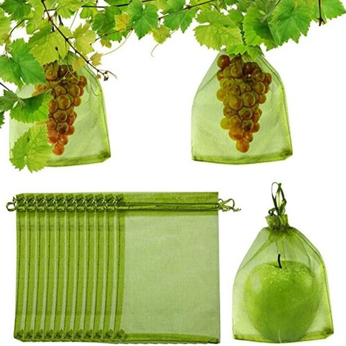 Sacs de Protection des fruits 100 pièces, parfaits pour protéger vos fruits contre les dommages. Sacs de fruits pour arbres fruitiers
