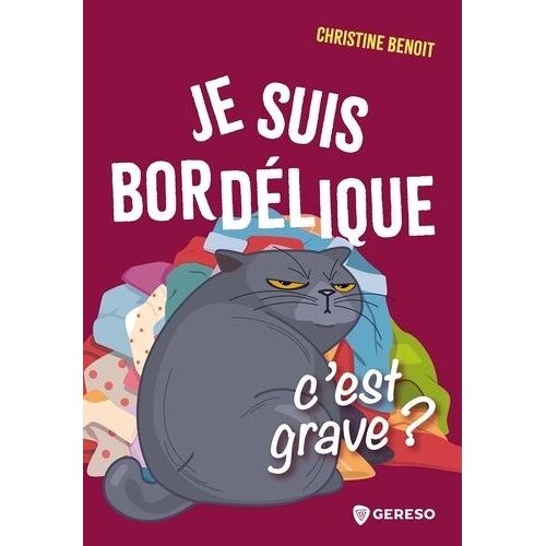 Je Suis Bordélique, C'est Grave ?
