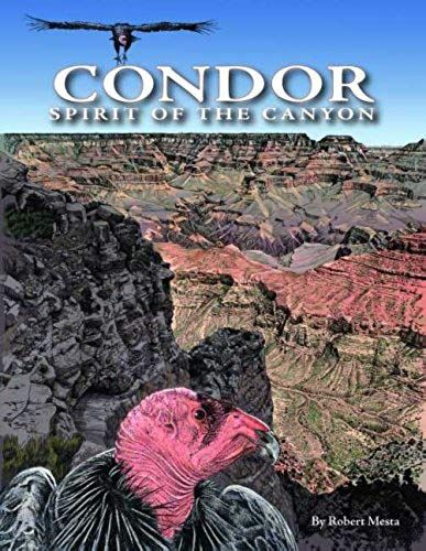 Condor: Spirit Of The Canyon