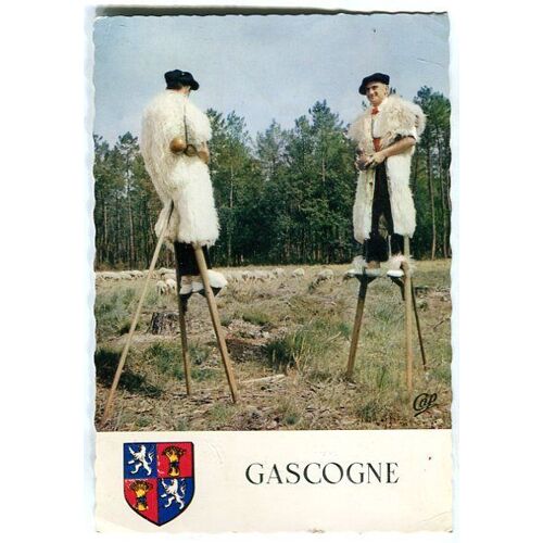 Carte Postale - Les Grandes Landes - Gascogne