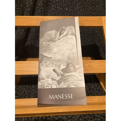 Manesse Plaquette Exposition Fiac 77 Grand Palais Texte Max-Pol Fouchet