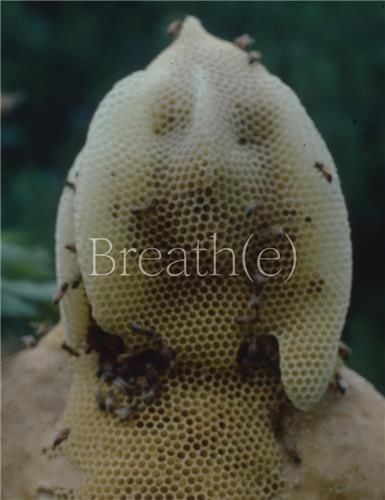 Breath(E) - Toward Climate And Social Justice