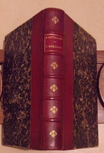 Les Kerney-Séverol - Histoire D'une Famille Française Au Xixe Siècle - L'assommé - 1877