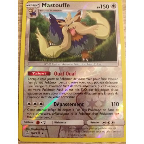 Mastouffe Sl12 Reverse 176 236