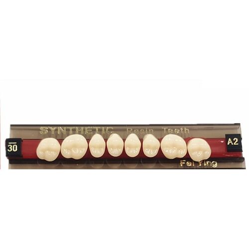 Ensemble Complet De Fausses Dents En Polymère Synthétique, 96 Pièces/Boîte/12 Ensembles, Dentier En Résine 