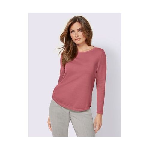 Pull Encolure Ronde 100% Coton Pima - - Bruyère
