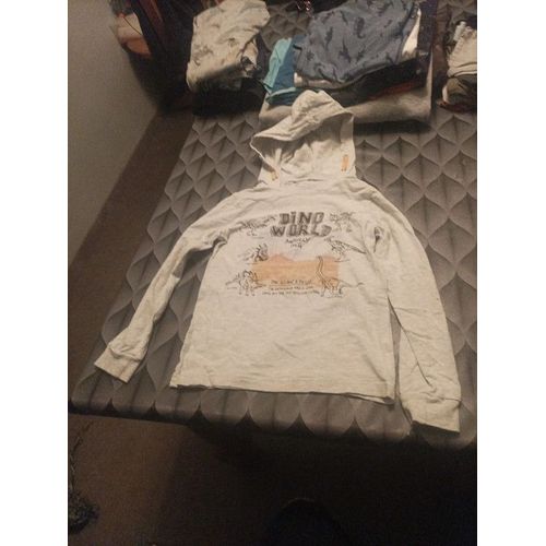 Sweat Dinosaure Gemo
