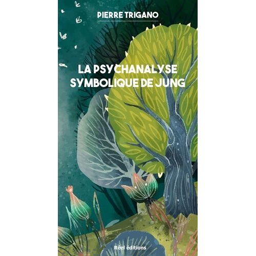 La Psychanalyse Symbolique De Jung