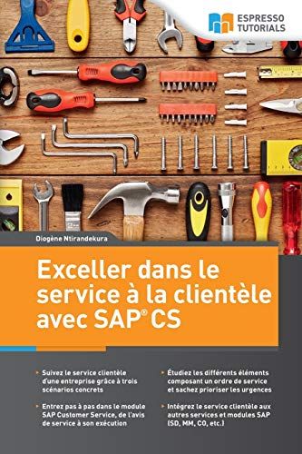 Exceller Dans Le Service Ã La Clientele Avec Sap Cs