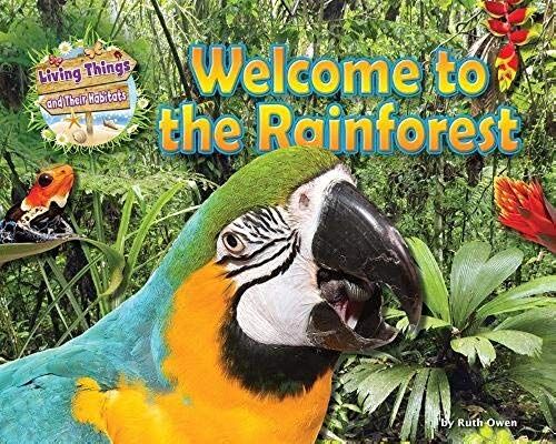 Welcome To The Rainforest