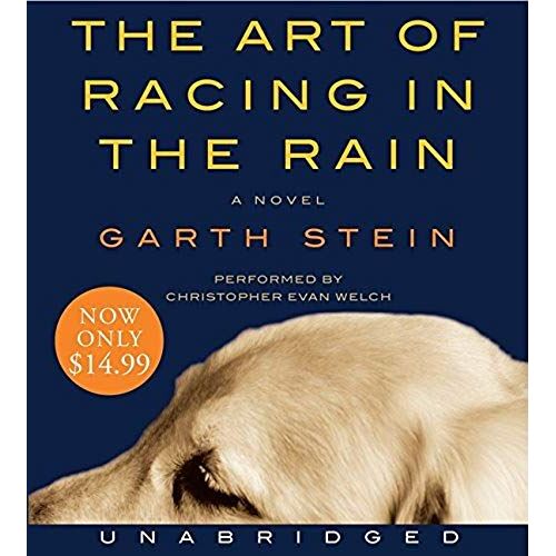 The Art Of Racing In The Rain