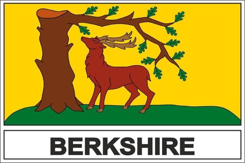 Autocollant Sticker Drapeau Royaume Uni Berkshire