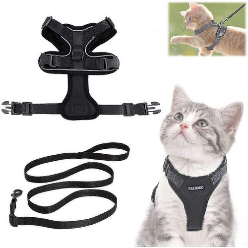 Harnais Pour Chat Avec Laisse, Harnais Pour Chat Et Laisse, Harnais Réglable Pour Chaton, Harnais Pour Chat