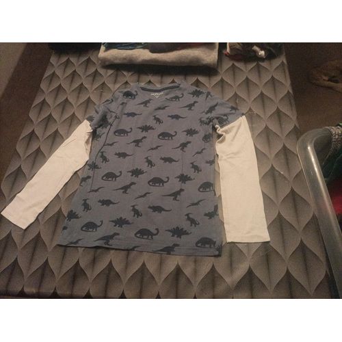 Lot De 2 T-Shirts Dino