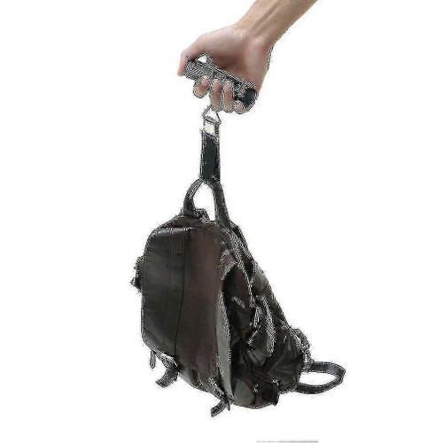 Balance de voyage portable à crochet, écran LCD numérique 50 kg/10 g, pour valise