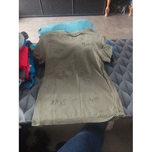 T Shirt Dino Relief