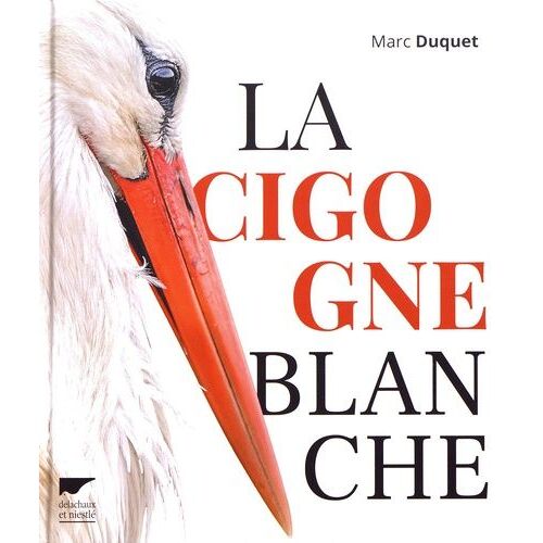 La Cigogne Blanche