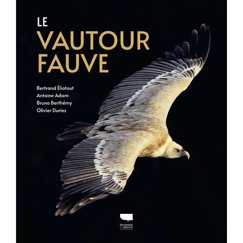 Le Vautour Fauve
