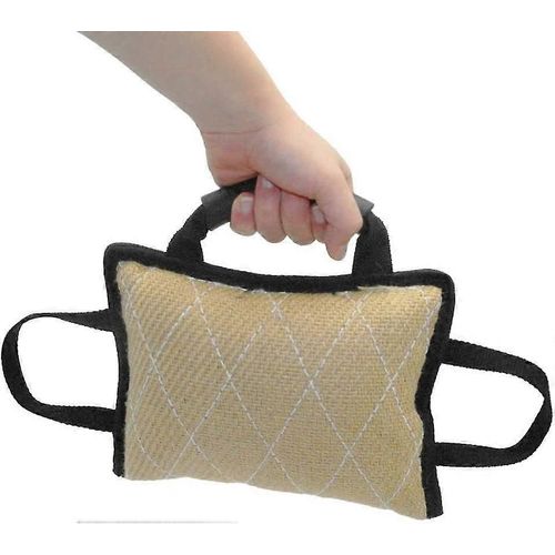 Jouet De Morsure Pour Chien De Compagnie, Coussin De Morsure Pour Chiot, Jouet D'entraînement En Plein Air